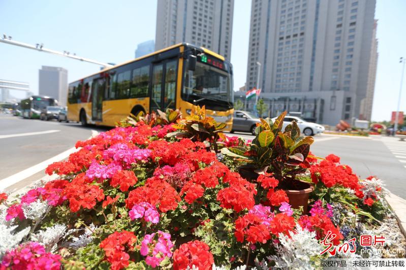 花团锦簇迎盛会