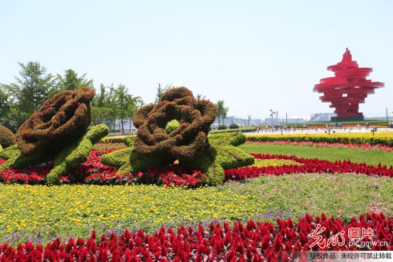 花团锦簇迎盛会