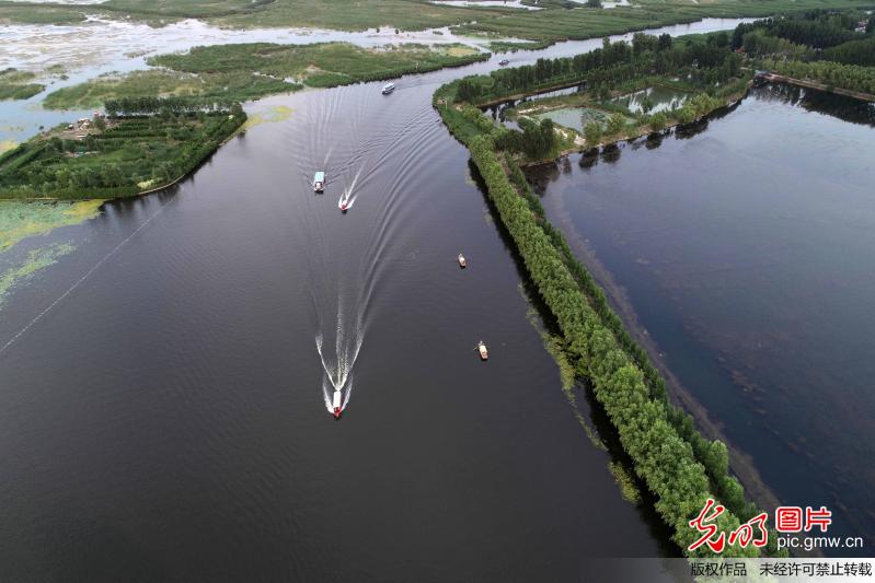 俯瞰生态白洋淀