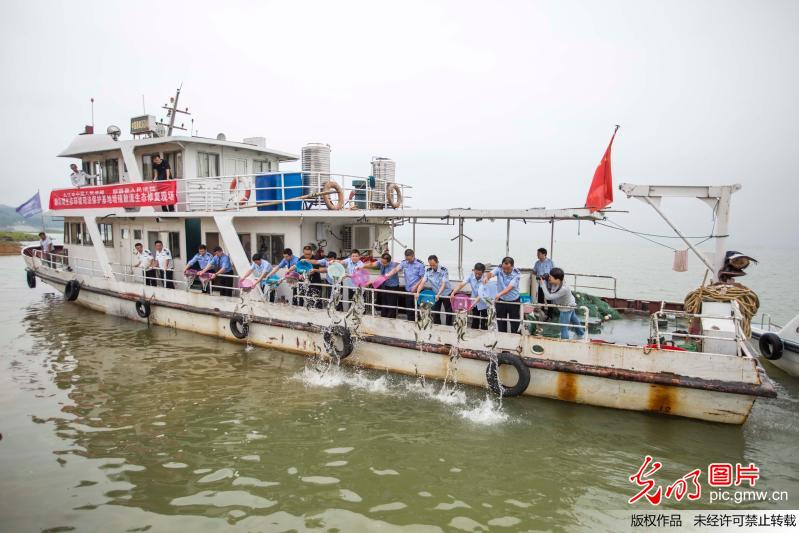10万尾鱼苗放流鄱阳湖