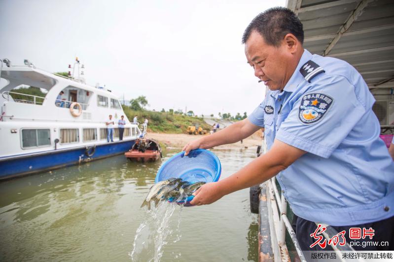 10万尾鱼苗放流鄱阳湖