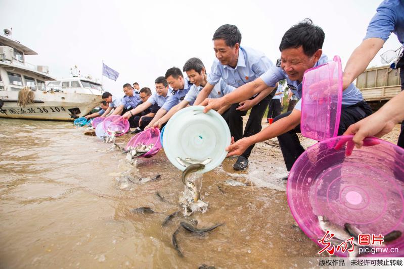 10万尾鱼苗放流鄱阳湖