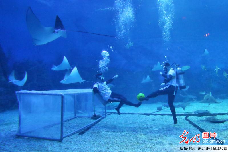 “海底世界杯”