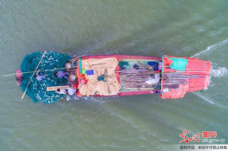 鄱阳湖结束禁渔期
