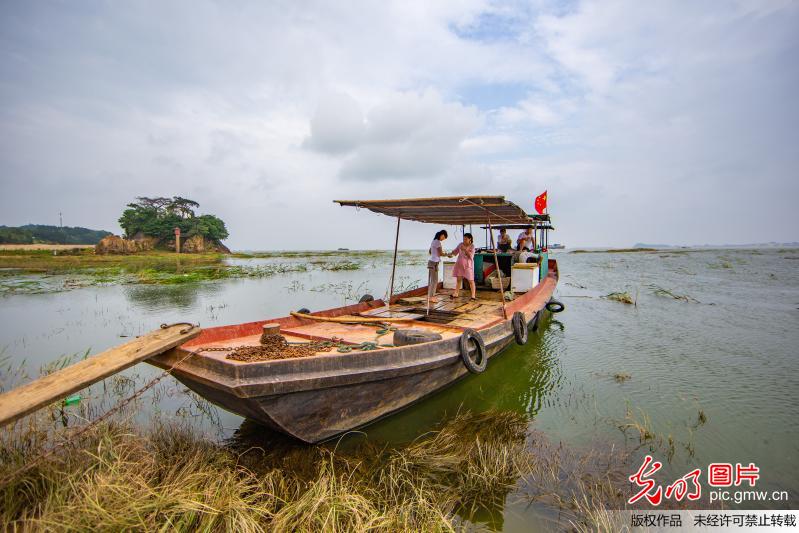鄱阳湖结束禁渔期