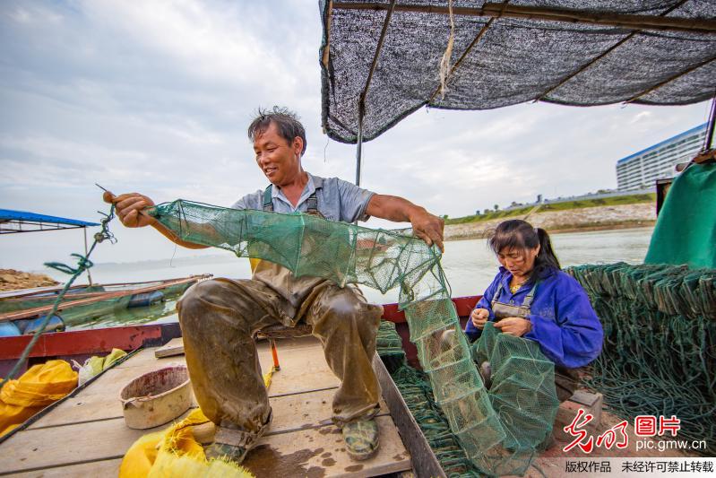 鄱阳湖结束禁渔期