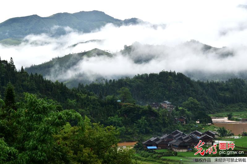 贵州从江：雾绕乡村 水墨画卷