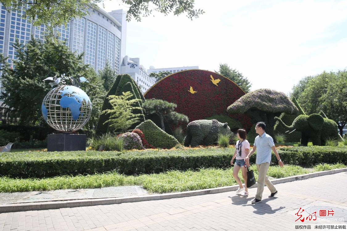 中非合作论坛峰会花坛亮相北京街头