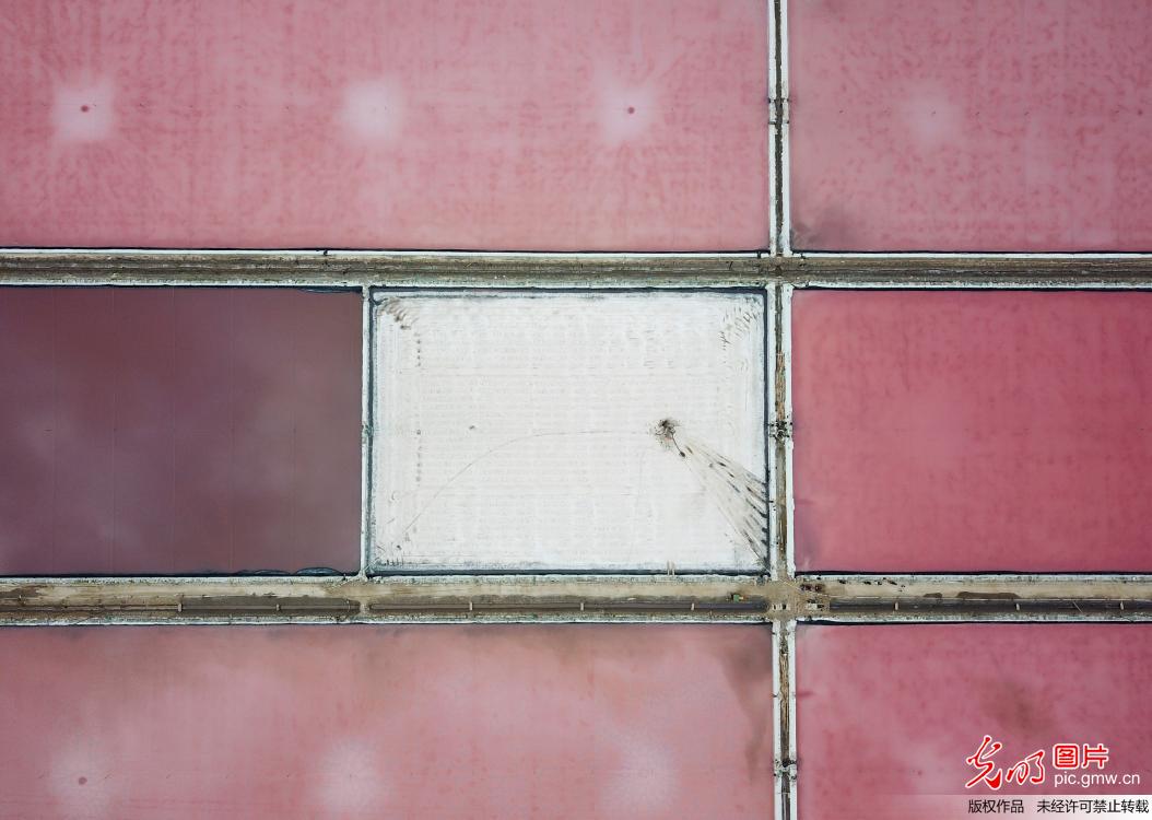 江苏连云港淮盐丰收“秋扒”忙 江苏连云港淮盐丰收“秋扒”忙