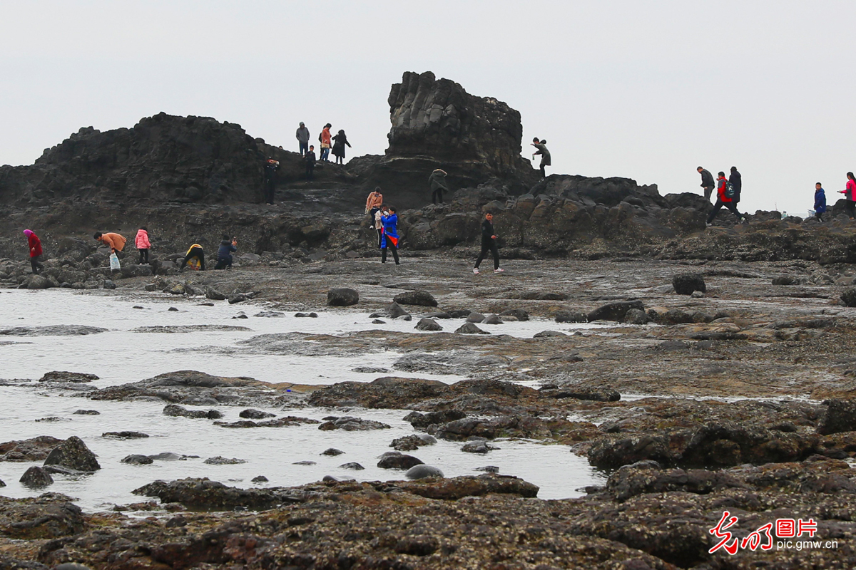 龙海古火山潮退人来 节庆旅游再“喷发”