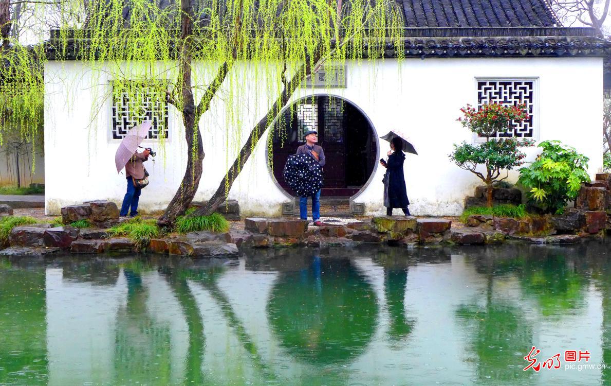 江苏苏州：春雨润无声 姑苏韵味浓