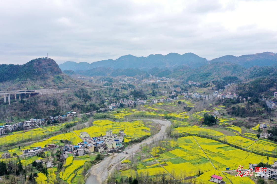 重庆酉阳：春暖花开乡村美