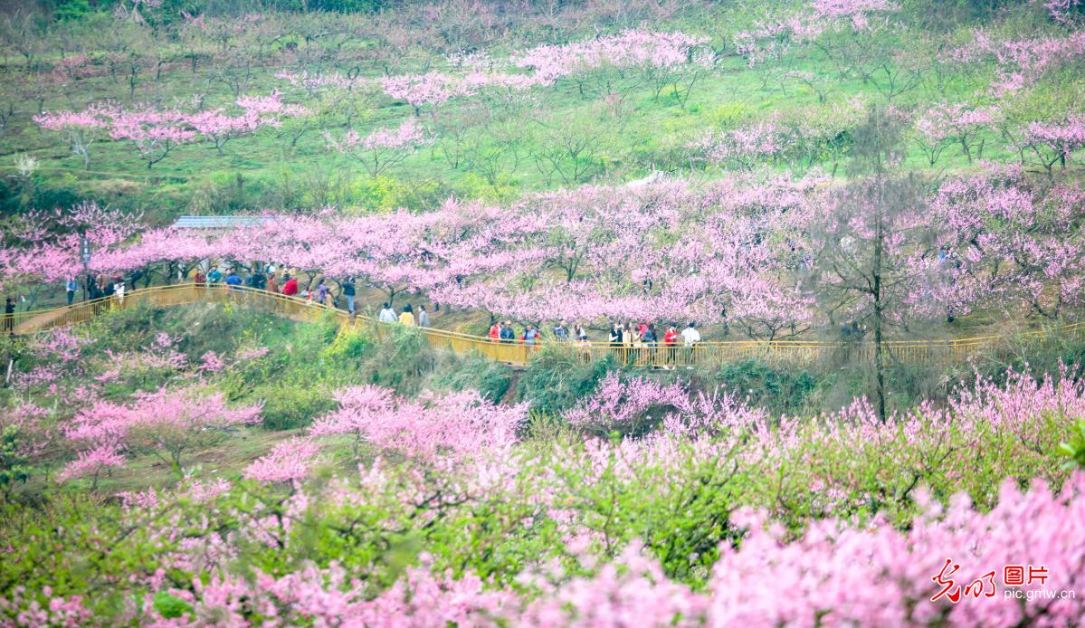 四川遂宁：发展乡村旅游 助力乡村振兴