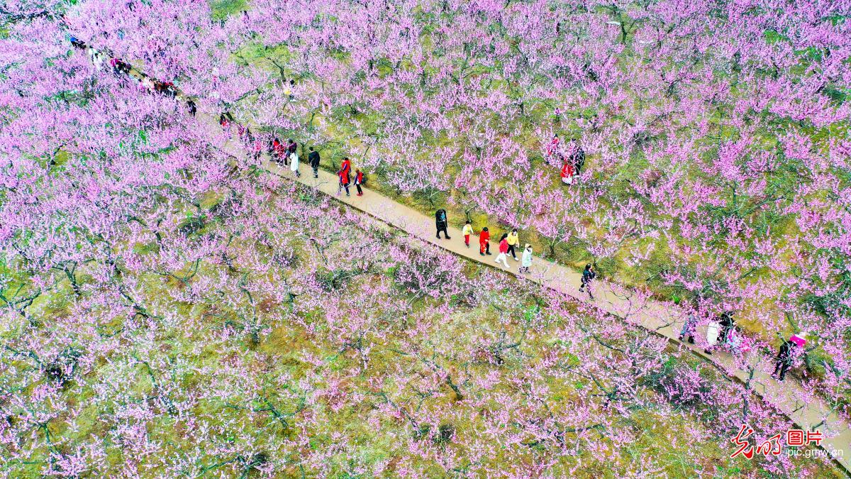 四川遂宁：发展乡村旅游 助力乡村振兴