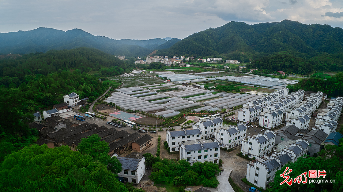 江西瑞金：红色旅游持续升温