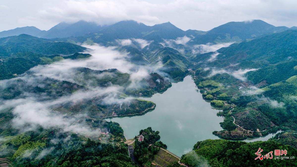 浙江仙居：生态水库 保障用水安全