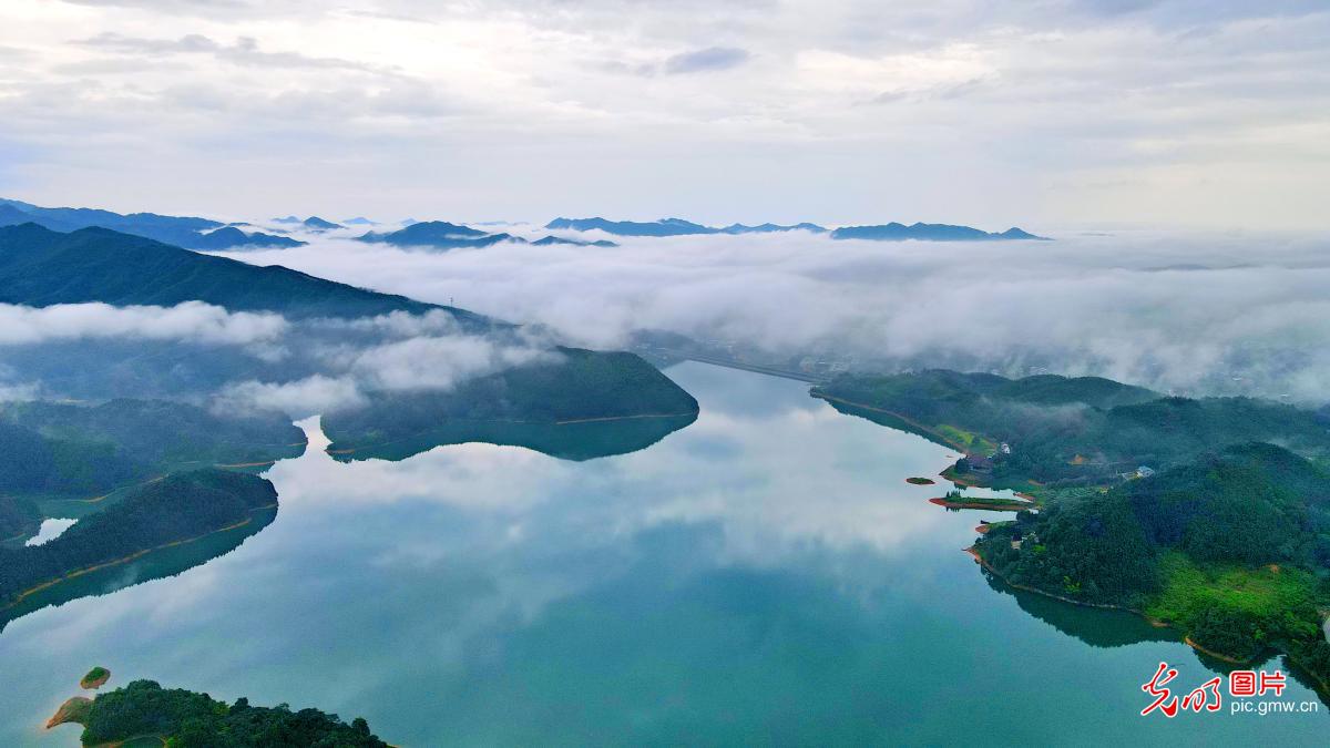 湖南常宁：雨过初晴湿地美