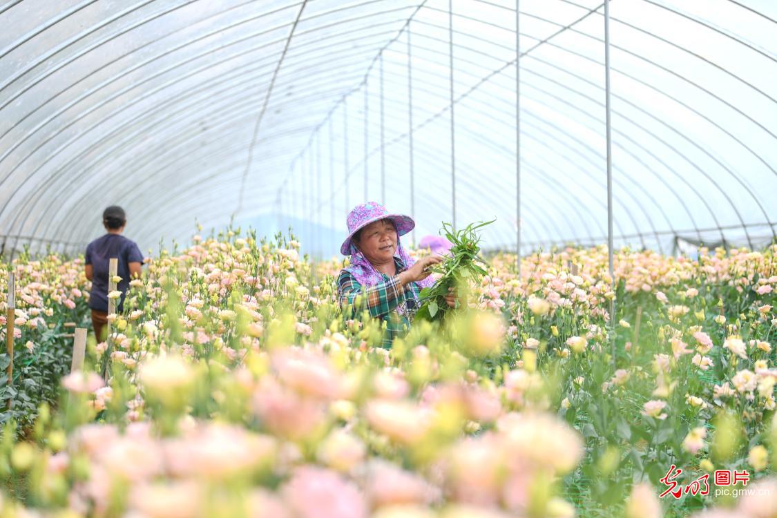 鲜花盛开绽放“美丽经济”