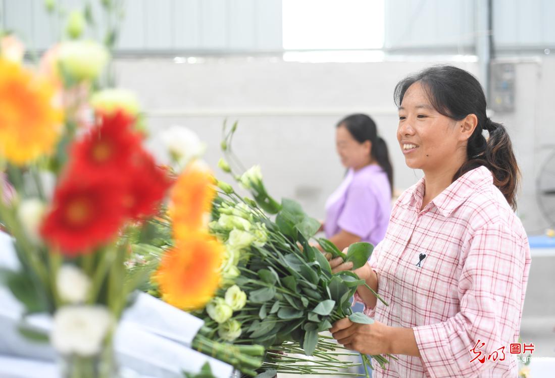 鲜花盛开绽放“美丽经济”