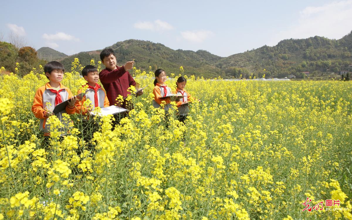 【组图】花开盛世：“幸福课堂” 花海丛中绘春天