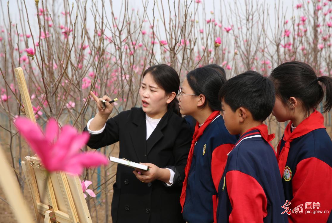 【组图】花开盛世：“幸福课堂” 花海丛中绘春天