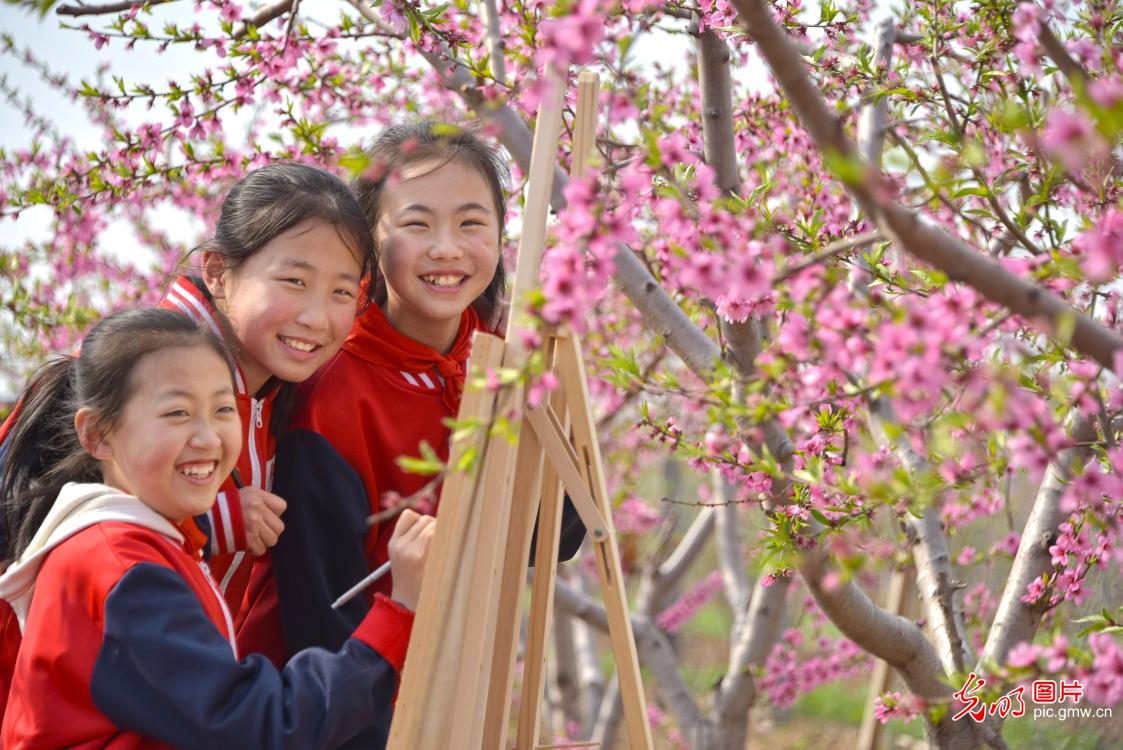 【组图】花开盛世：“幸福课堂” 花海丛中绘春天