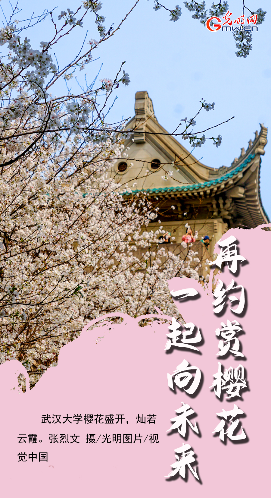 【组图海报】花开盛世：满园春色 各地高校尽显最美“花海”