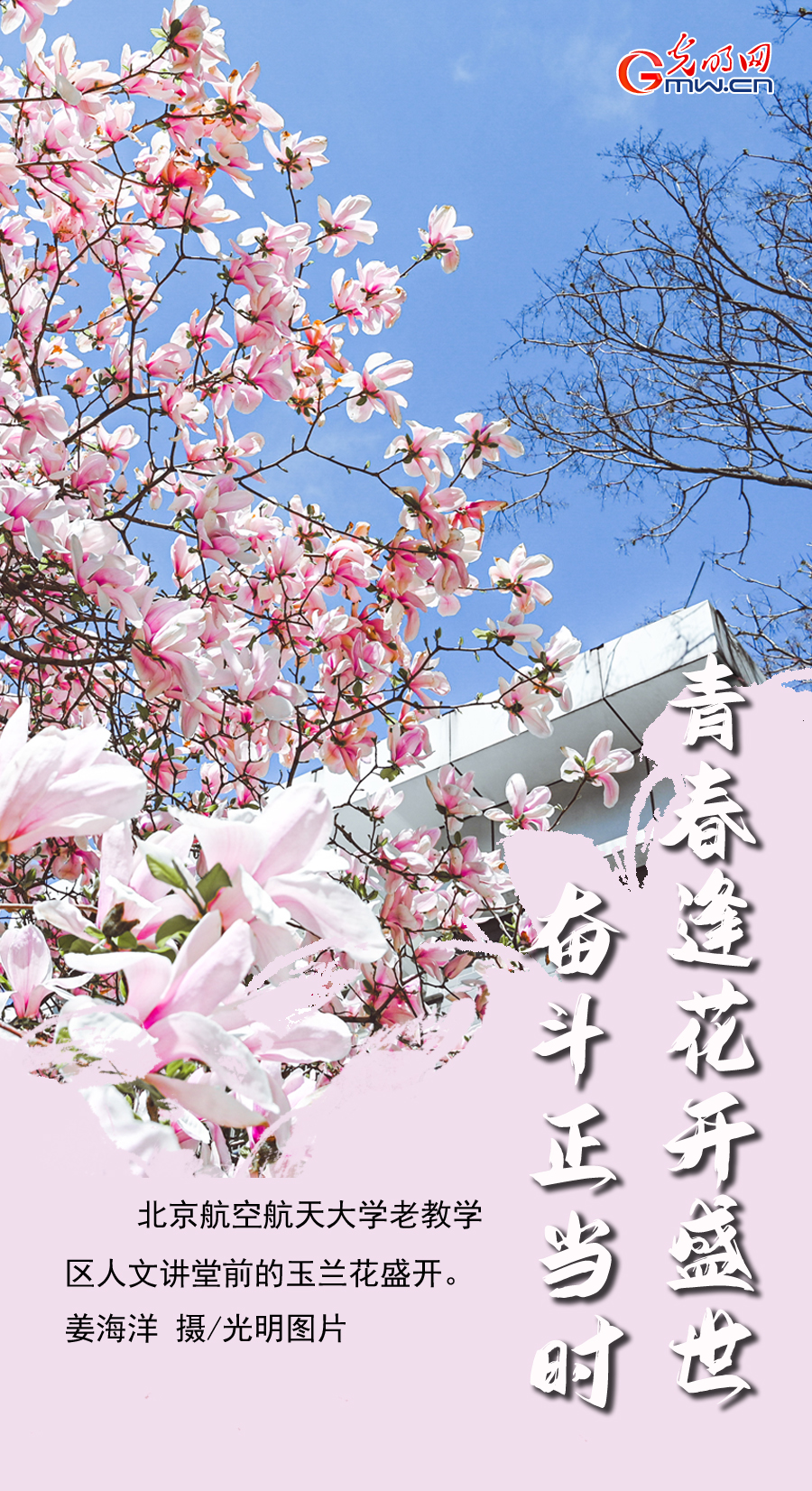 【组图海报】花开盛世：满园春色 各地高校尽显最美“花海”