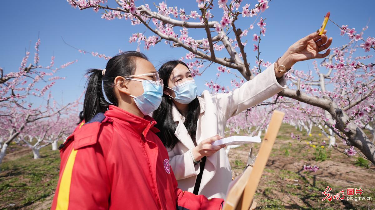 【组图】花开盛世：“幸福课堂” 花海丛中绘春天
