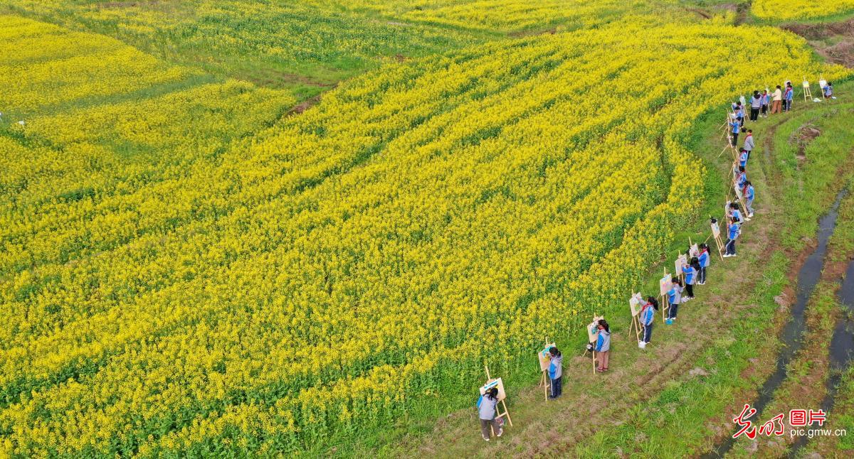 【组图】花开盛世：“幸福课堂” 花海丛中绘春天
