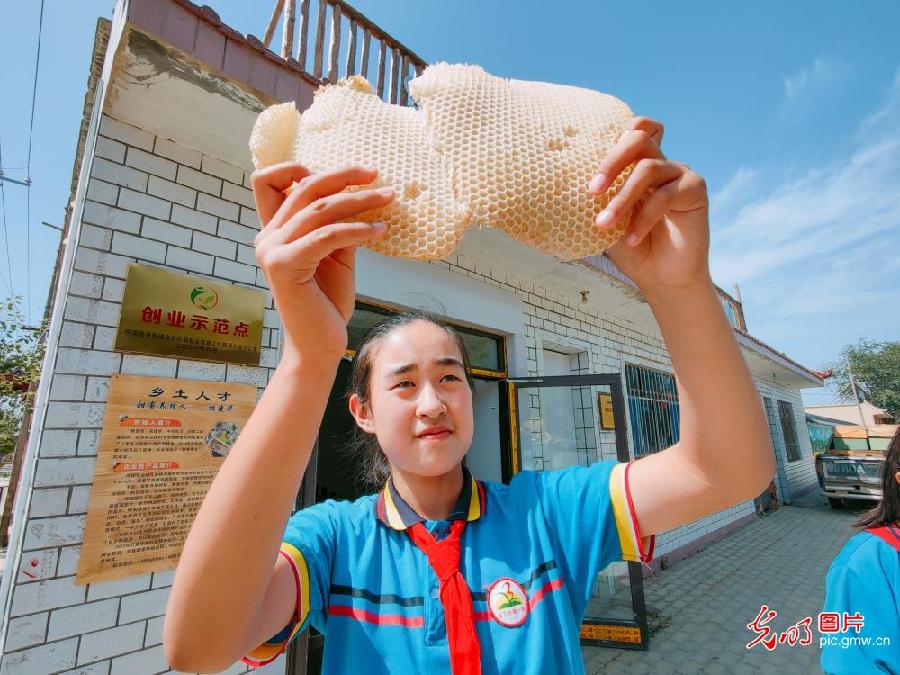 【我们的新时代】养蜂业酿出甜蜜新生活
