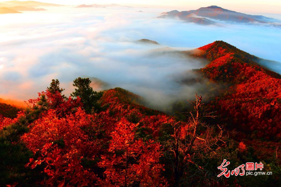 【绿水青山“瞰”中国】小兴安岭的绿色发展新画卷