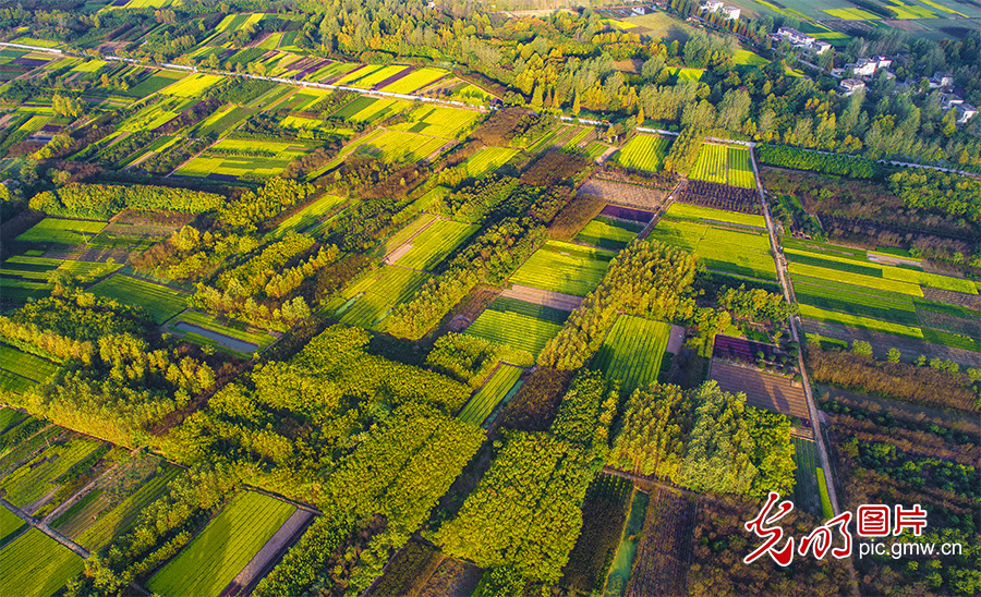 【绿水青山“瞰”中国】生态立县的“光山”实践