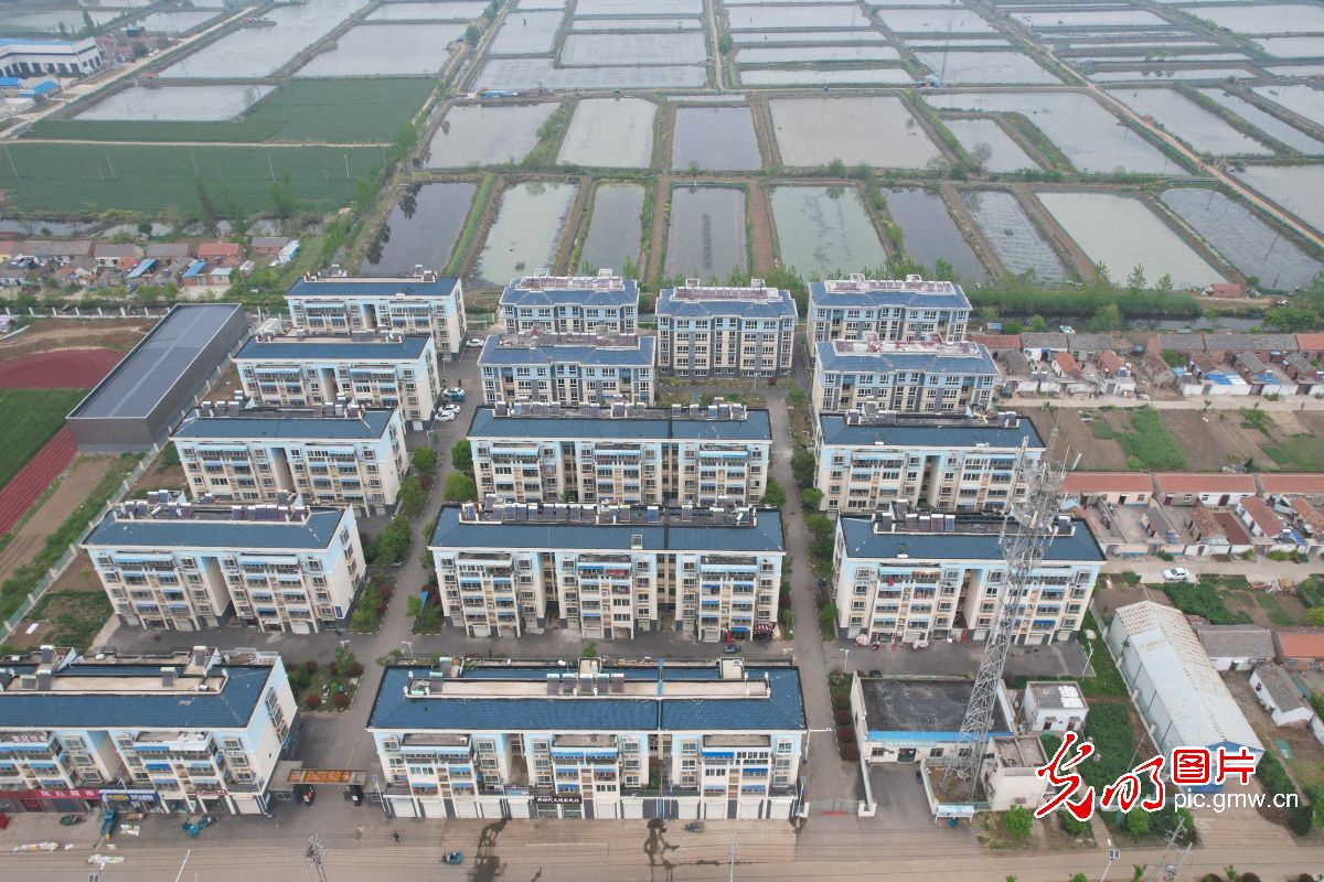 【我们的新时代】江苏泗洪：蝶变•小渔村