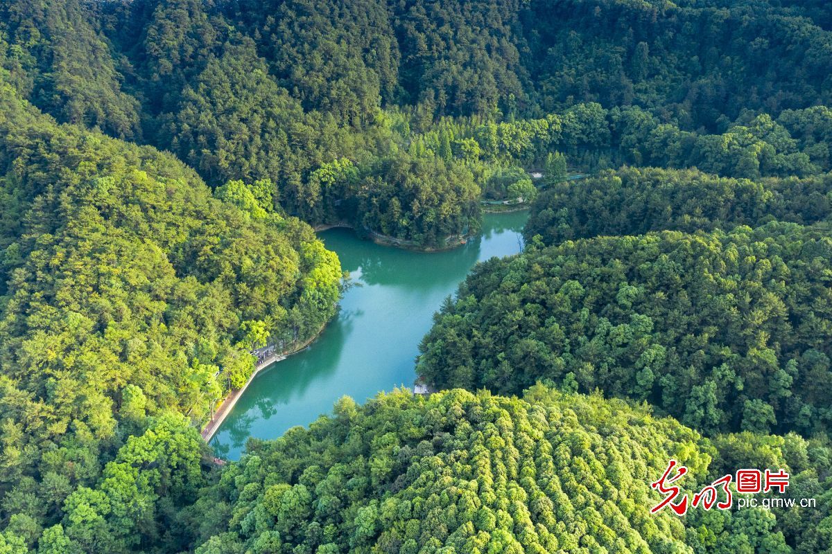 【我们的新时代】重庆黛湖：生态修复焕发新生机