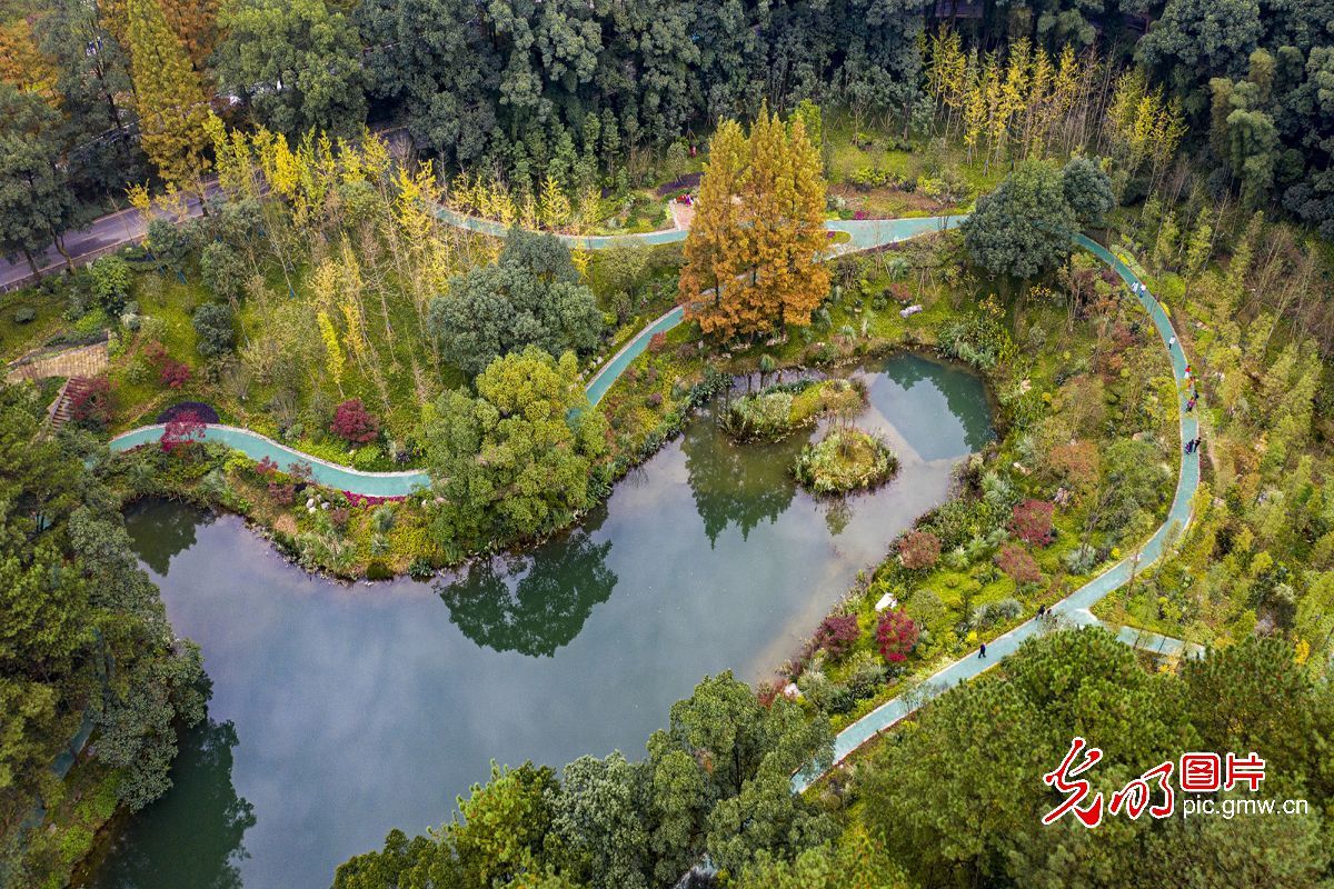 【我们的新时代】重庆黛湖：生态修复焕发新生机