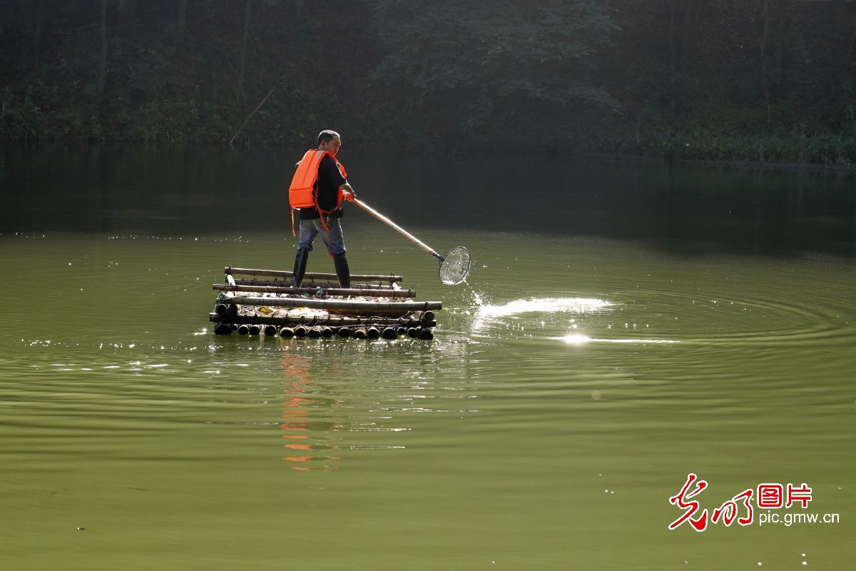 【我们的新时代】重庆黛湖：生态修复焕发新生机