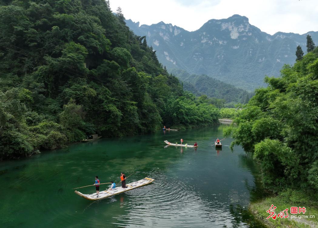 泛舟绿水间　夏日享清凉