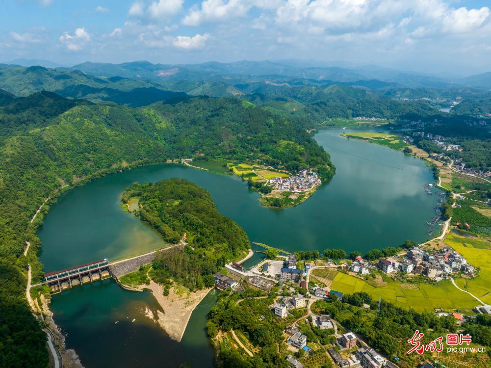 广西蒙山：乡村盛夏