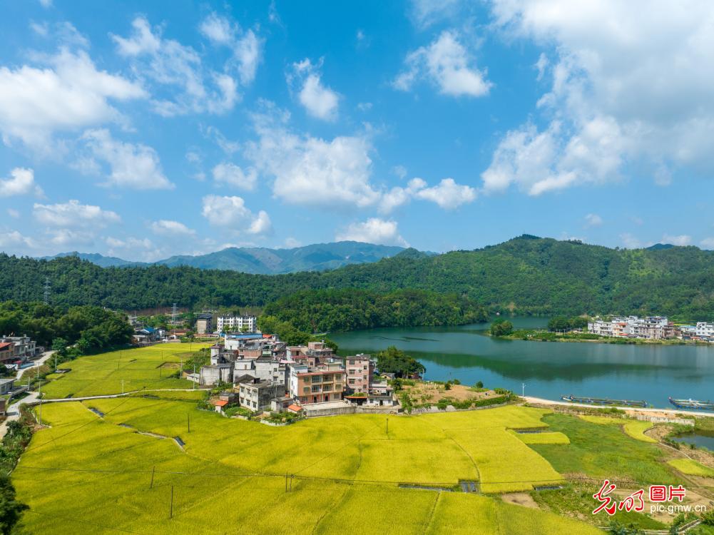 广西蒙山：乡村盛夏