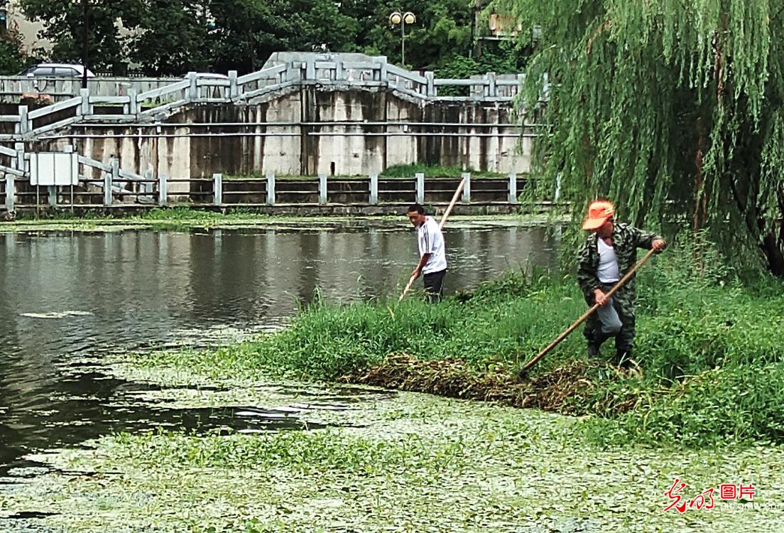 【我的家乡河】山水梦江南 峨溪河“蝶变”之路