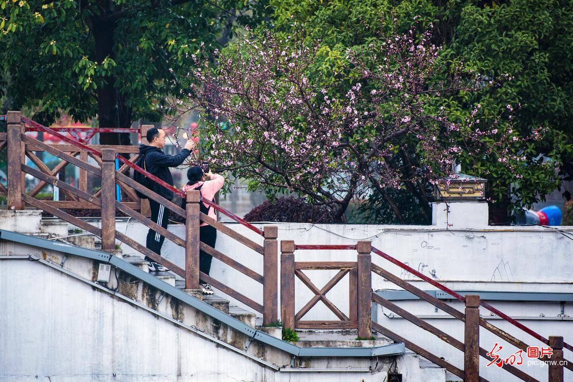 【我的家乡河】山水梦江南 峨溪河“蝶变”之路