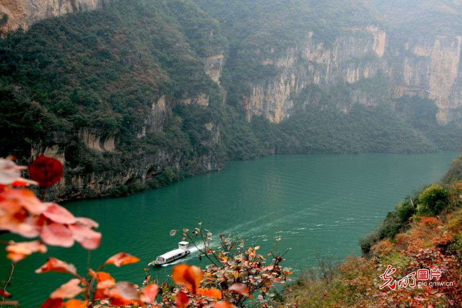 【我的家乡河】一江碧水寄乡情 两岸青山焕新生