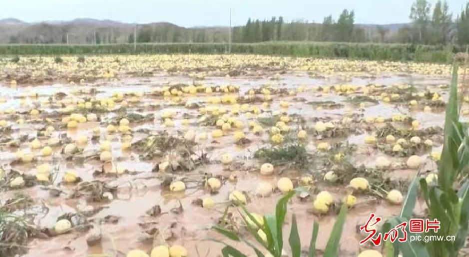 甘肃高台县出现强降雨天气 干群合力抢险救灾
