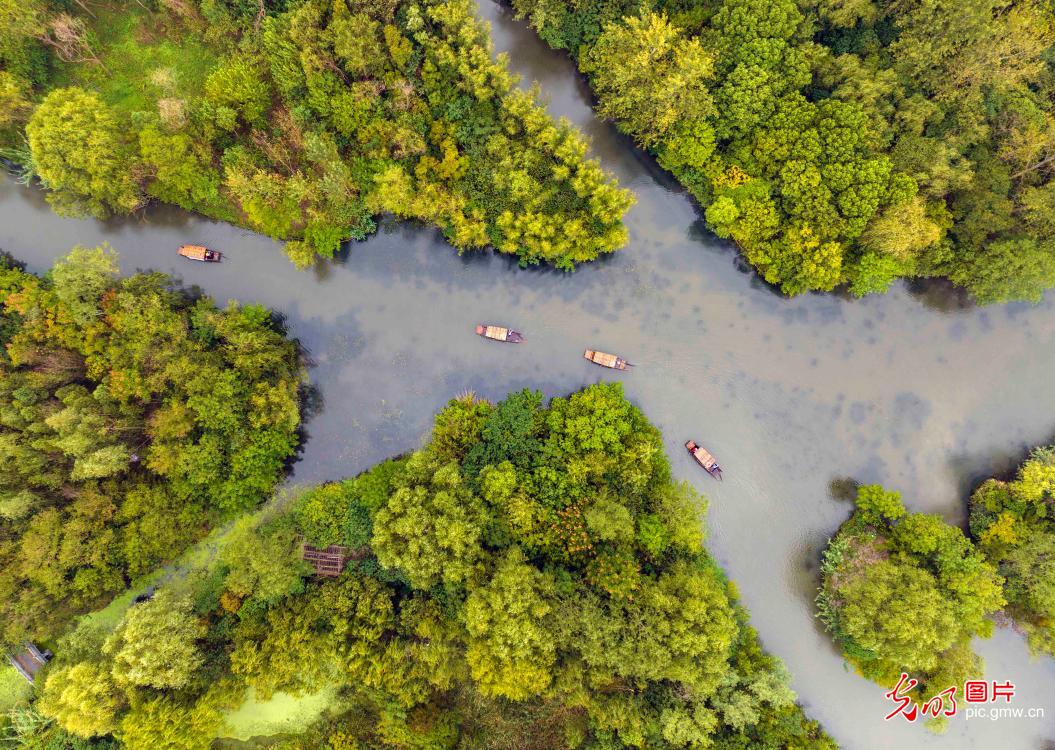 湿地旅游 乐享假期 湿地旅游 乐享假期