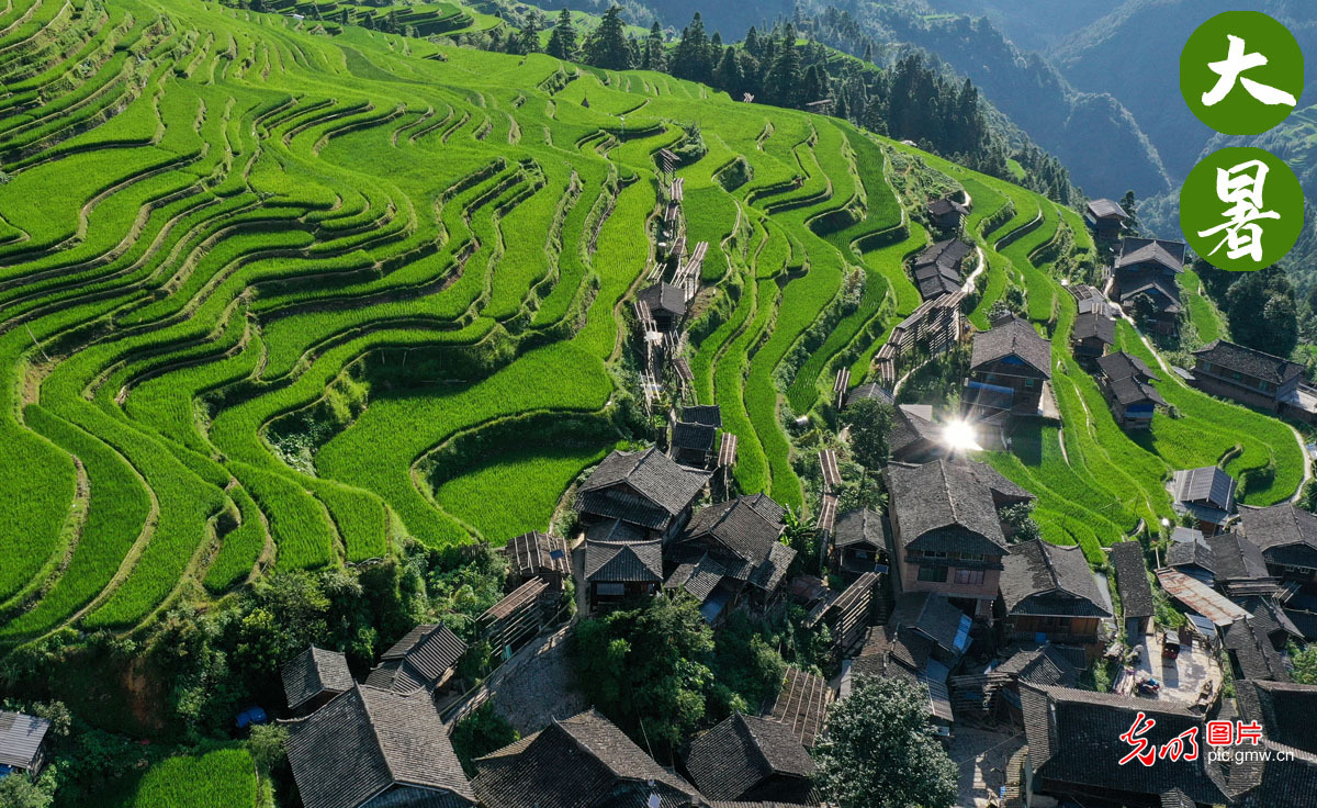 【网络中国节·云观四季】缤纷夏日 大美河山