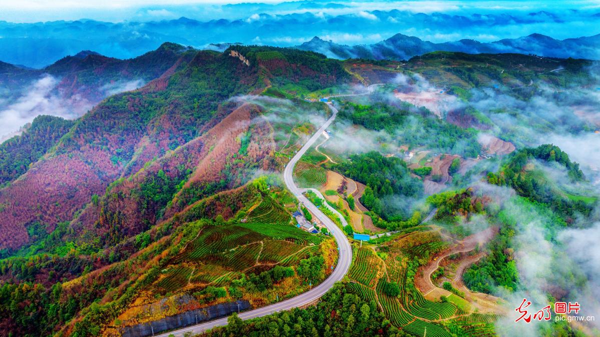 山乡秋意浓