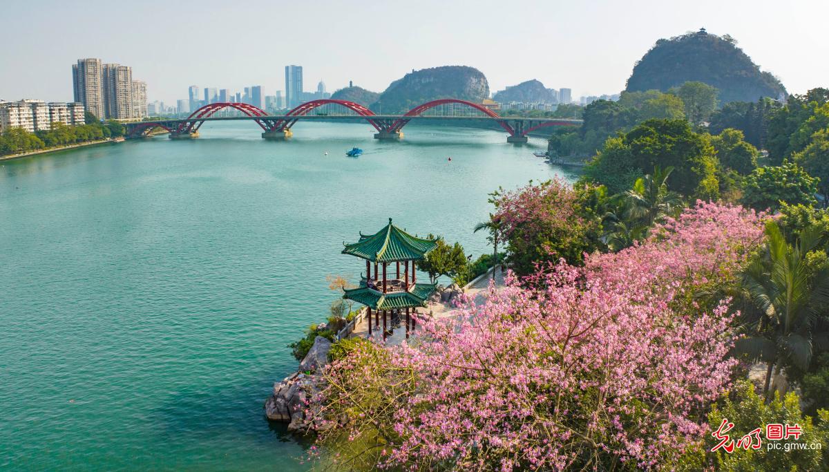 广西柳州：一江碧水入画来
