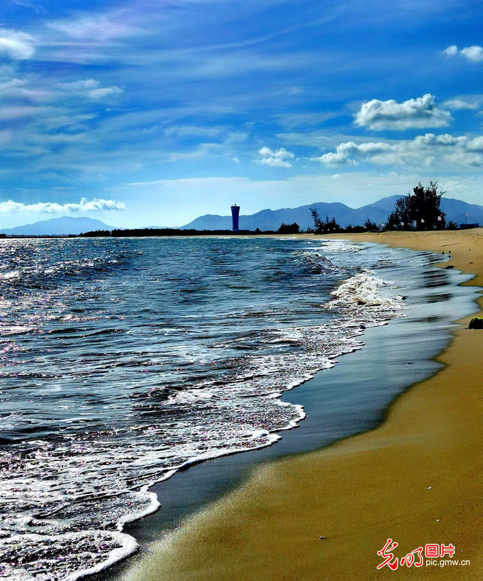 大海的颜色