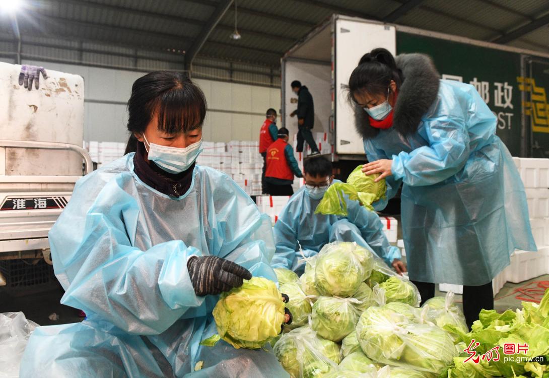 河北石家庄：“暖冬爱邮”助增收